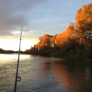 The Snake River